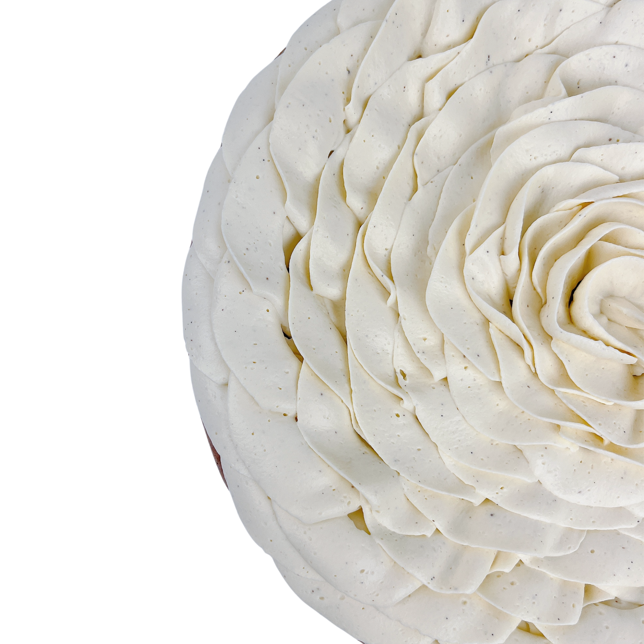 Close-up detail of a Chocolate Fondant Cake featuring delicate vanilla bean whipped ganache piped into a handcrafted rose design.